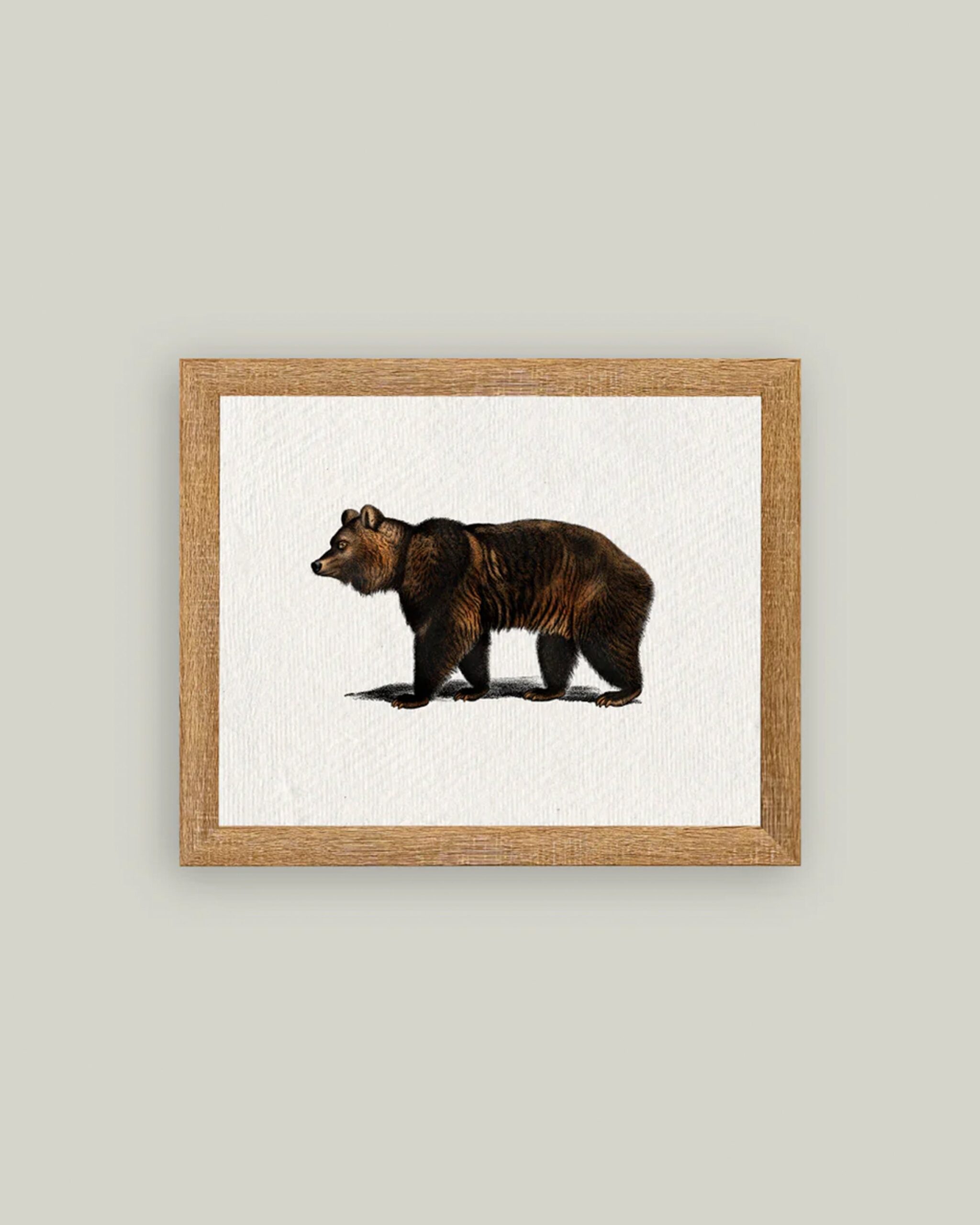bear-art