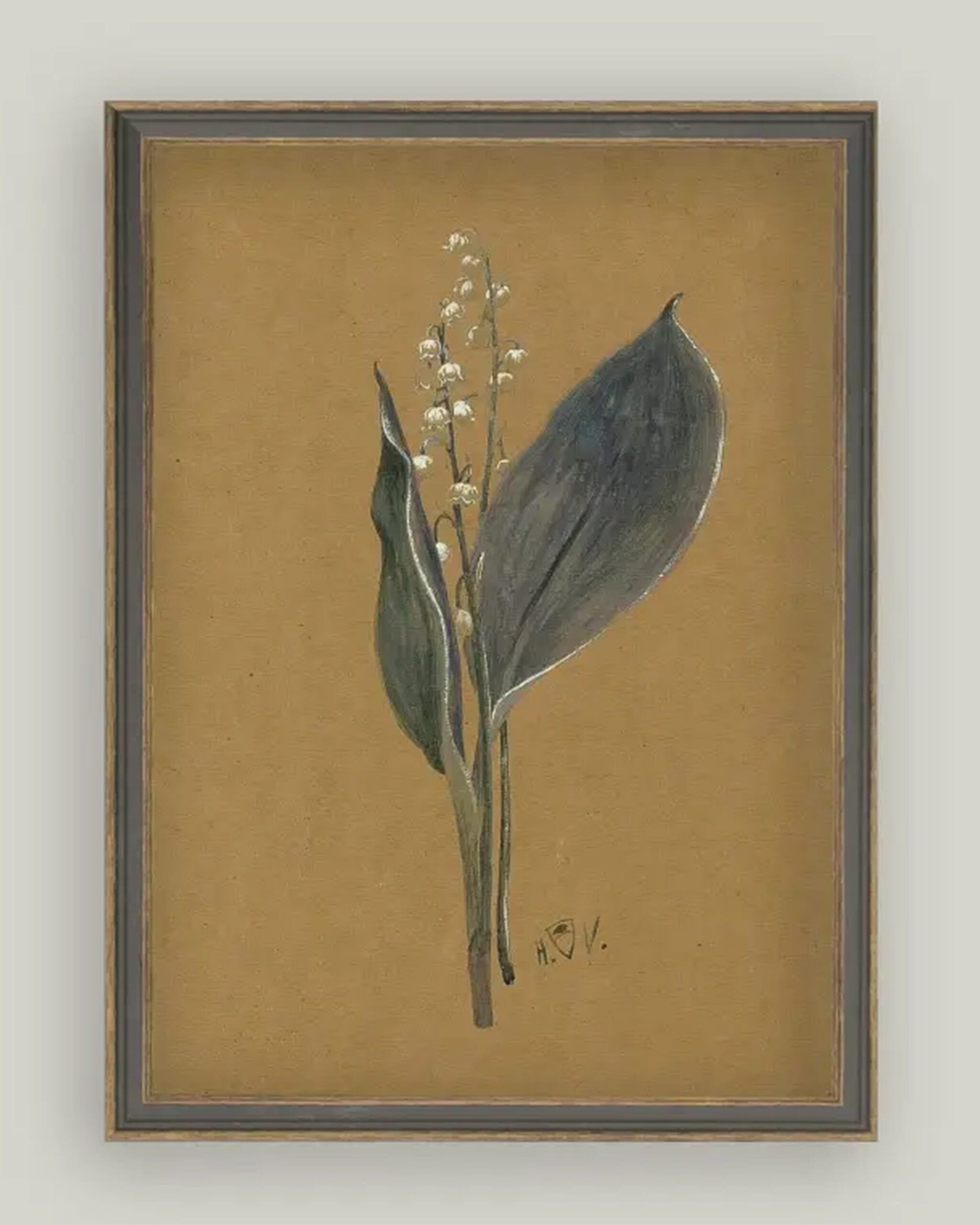 brown-lily-art