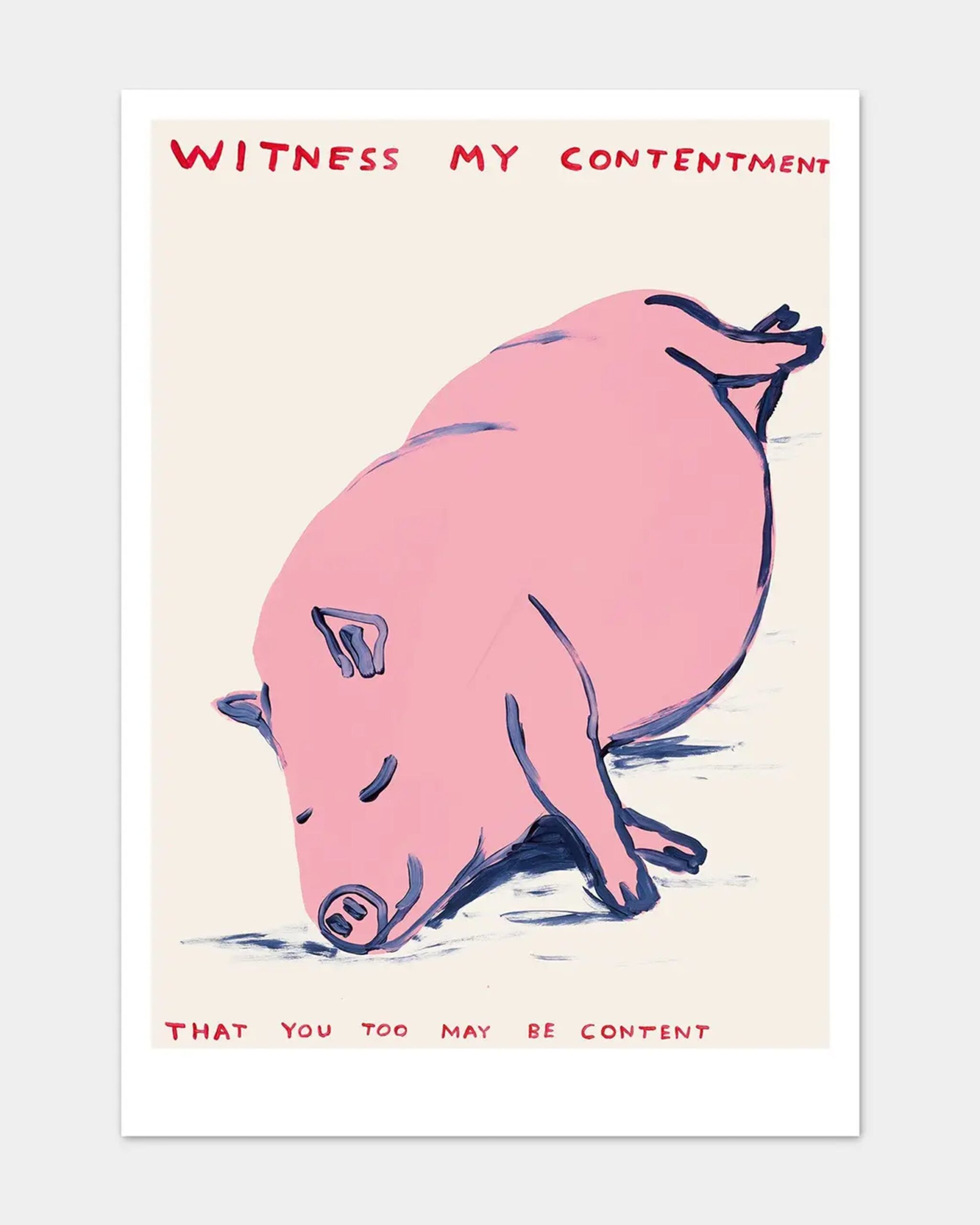 content_pig
