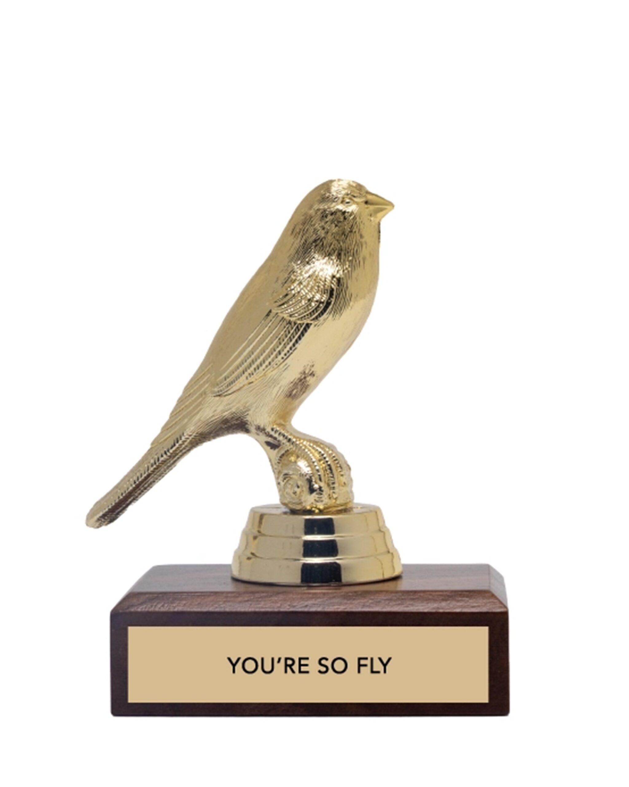 you_so_fly_trophy